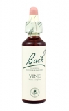 Vine (Vinná réva)